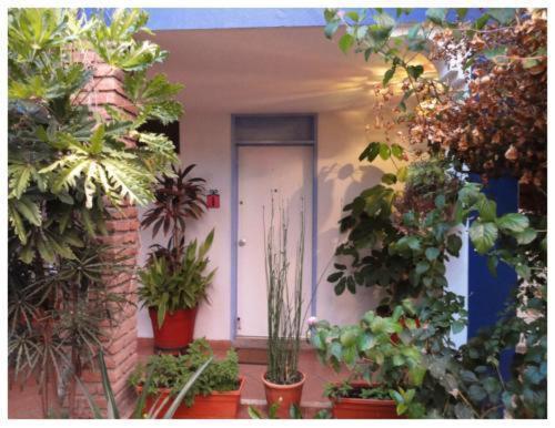 Suitel 522 Eco Hostel Mazatlán Exterior foto
