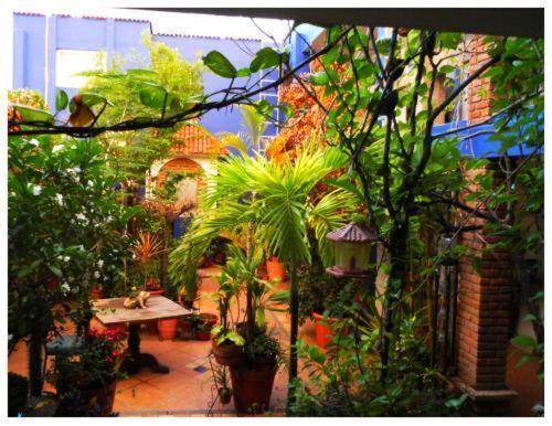 Suitel 522 Eco Hostel Mazatlán Exterior foto